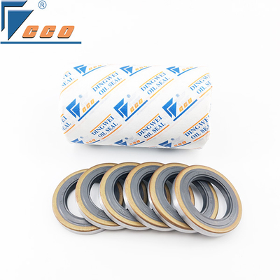 Double Lip Skeleton Oil Seal FKM High Temperature Resistant Up To 250°C